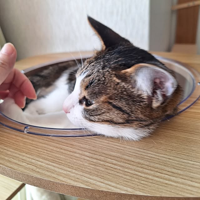akimameさんの部屋
