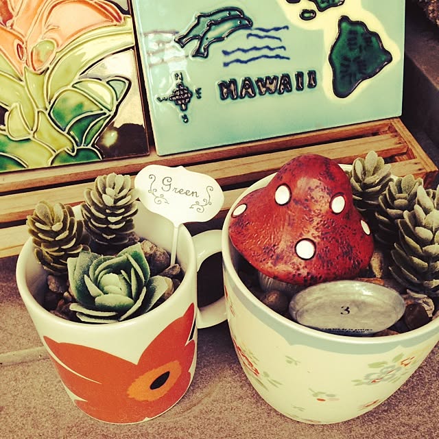 Junkoさんの実例写真