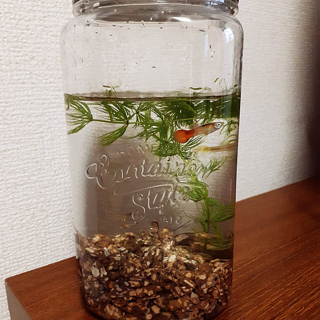 Miさんの実例写真