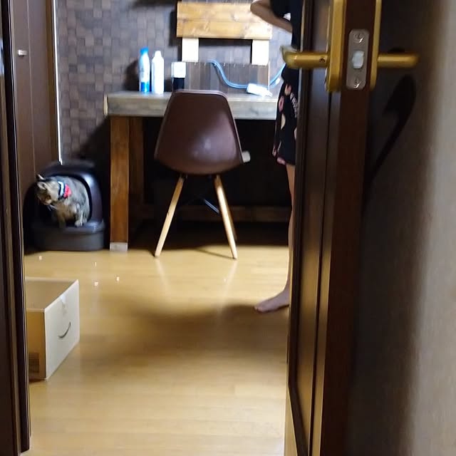 raraさんの実例写真