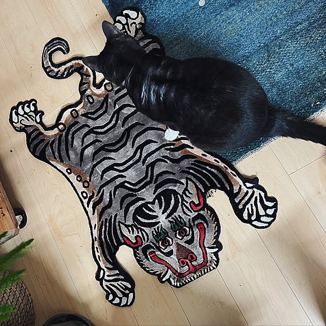 Makiさんの実例写真