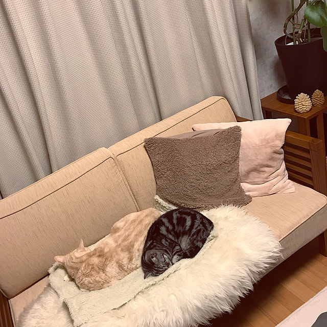 hiyupan88さんの実例写真