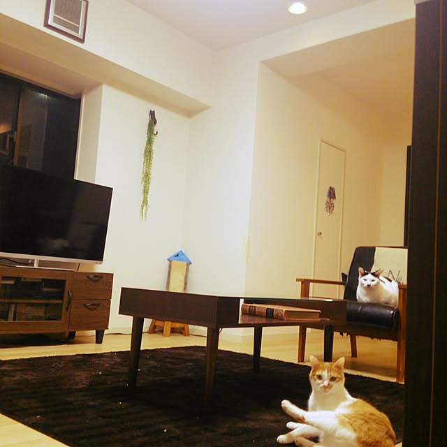 noguchiken0102さんの実例写真