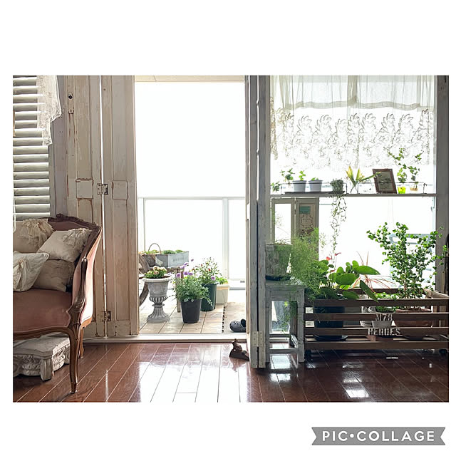 Rinrinfrenchさんの実例写真