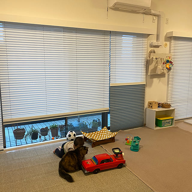 mikomaruさんの実例写真