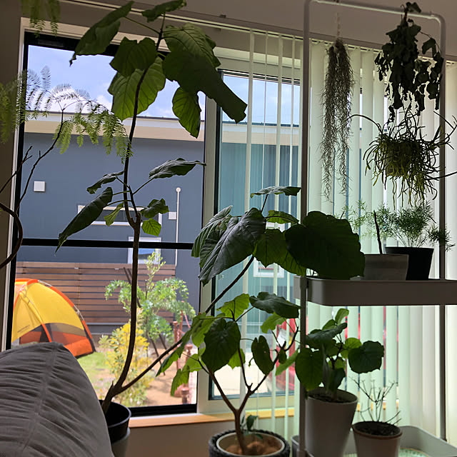 poa.t_hさんの部屋