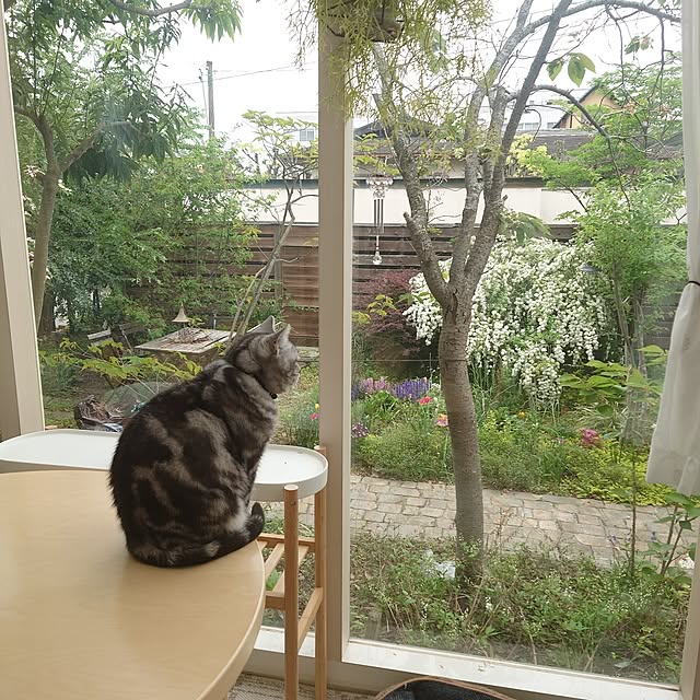 asmaさんの部屋