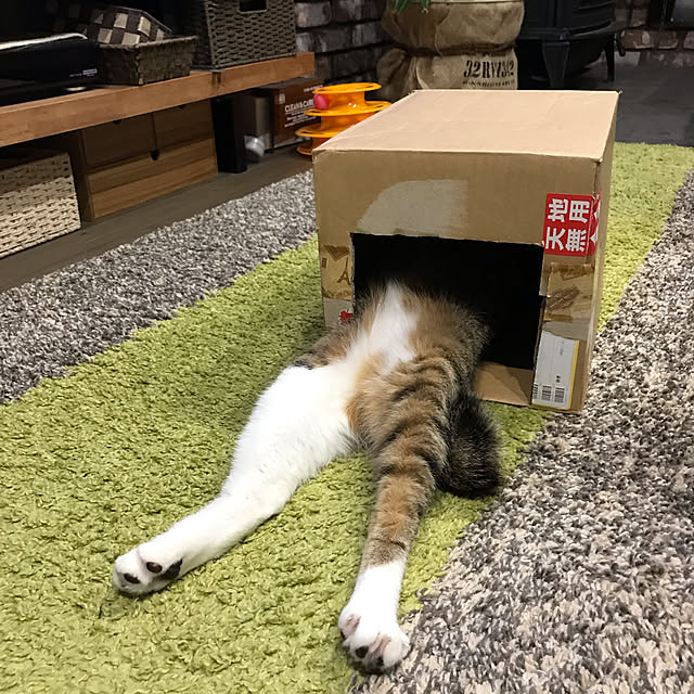 na-sanさんの実例写真