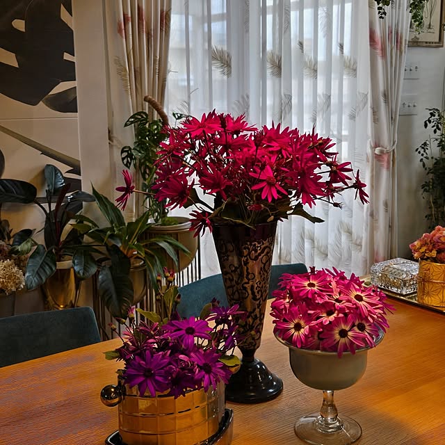 nonbiri_house_さんの部屋