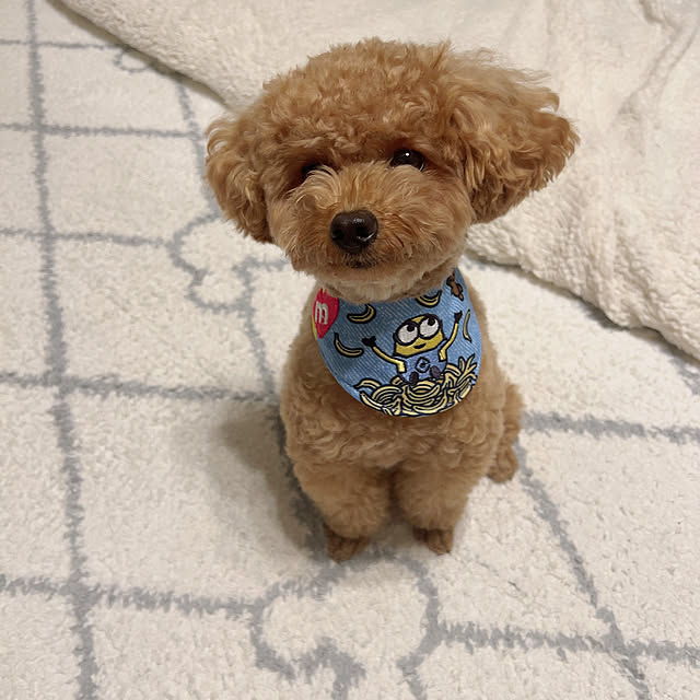 makiさんの実例写真