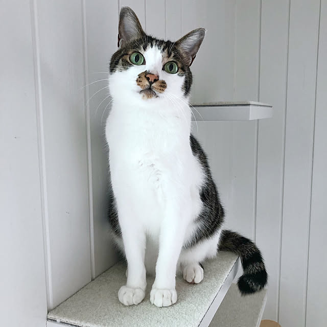 yuchiさんの実例写真
