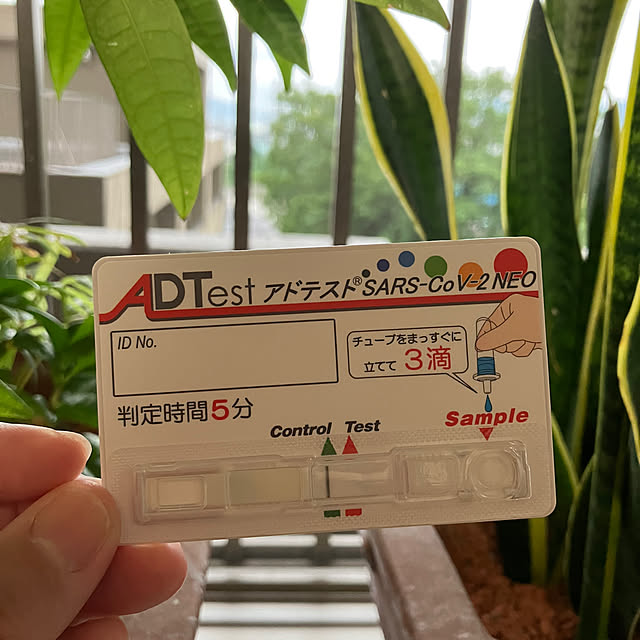koshiregutyoさんの部屋