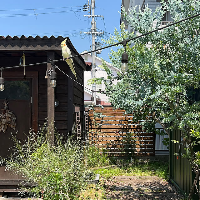 kinari.akariさんの実例写真