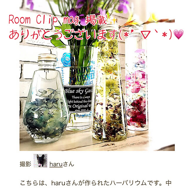 haruさんの実例写真