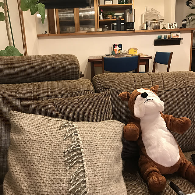 hachi1023さんの実例写真