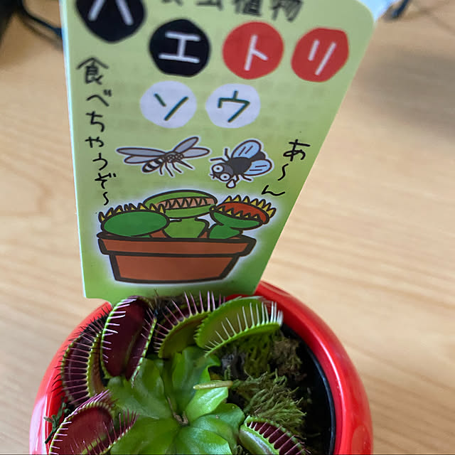 melmelさんの実例写真
