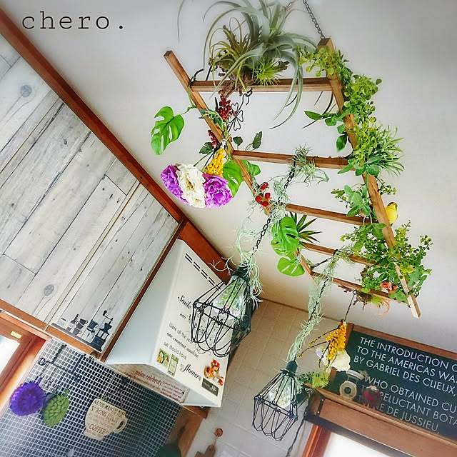 chero.さんの実例写真