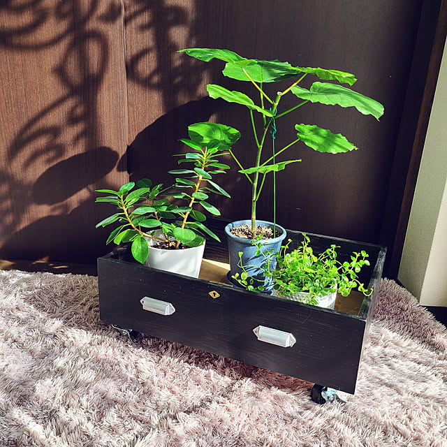 RKmamaさんの実例写真