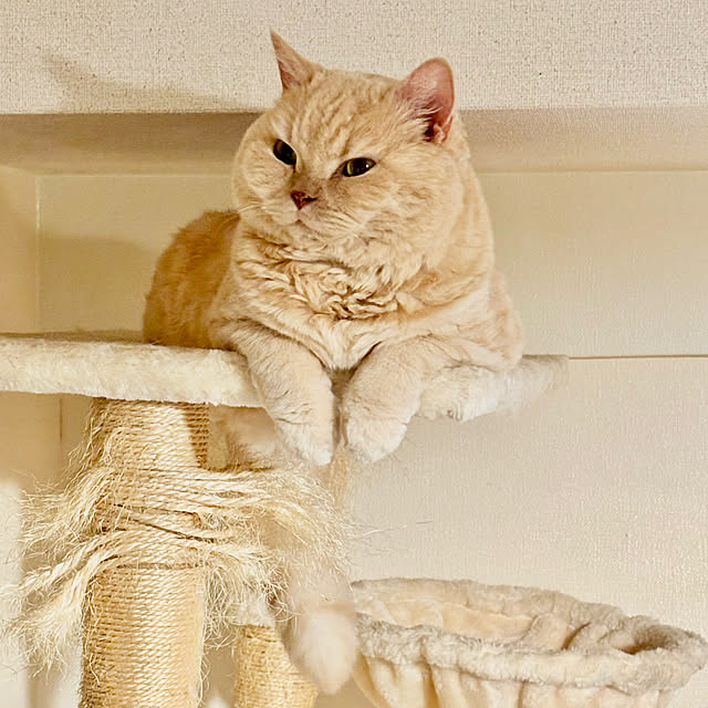 naokoさんの部屋