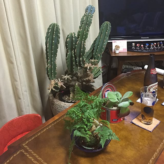 tsuyopipさんの実例写真