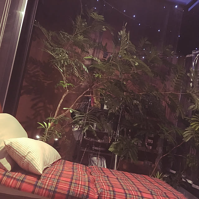 naoさんの実例写真