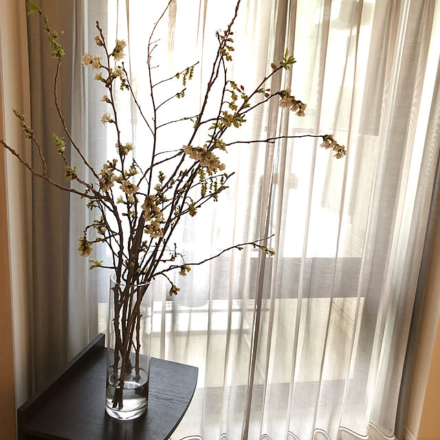 ericmomさんの実例写真