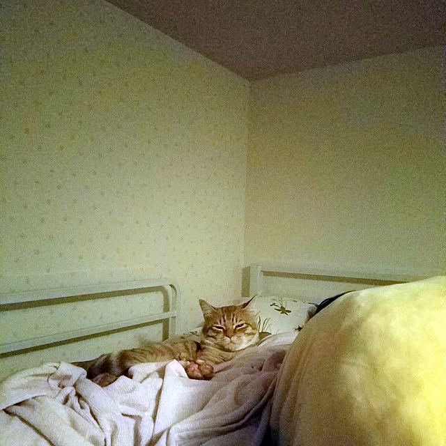 C.Tさんの実例写真