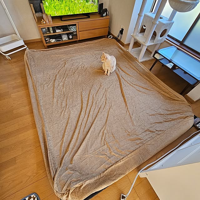 makoさんの部屋