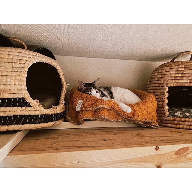 ttoさんの実例写真
