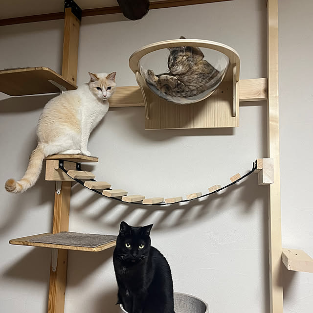 pecoさんの実例写真