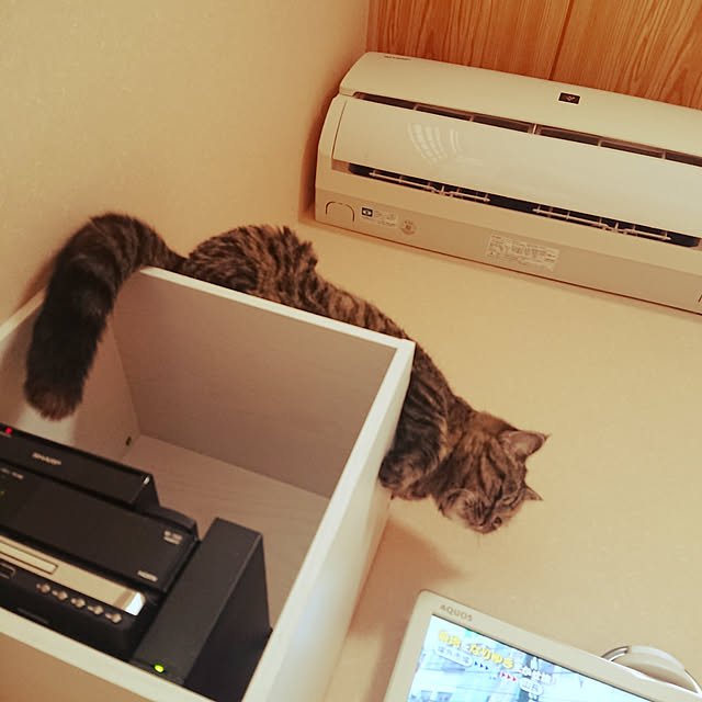 noguriさんの実例写真