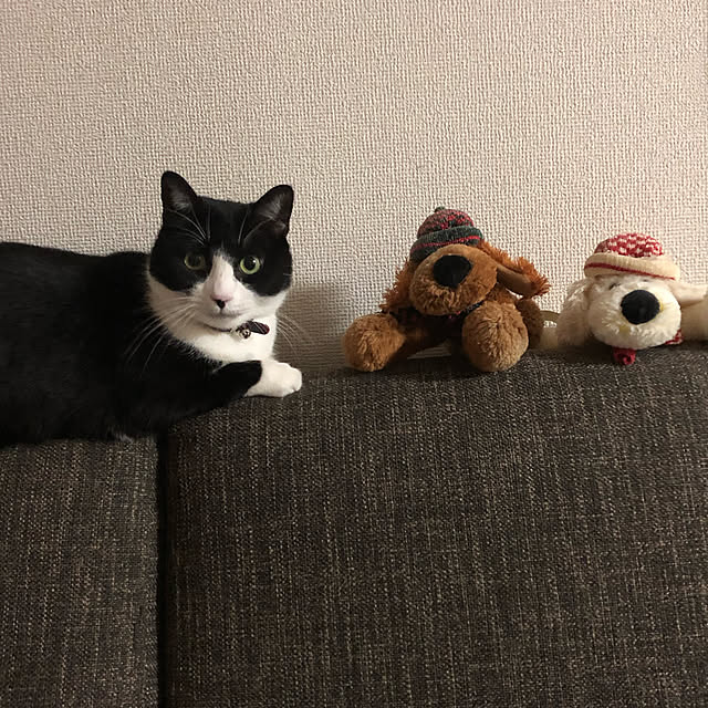 ree-deo.0316さんの実例写真