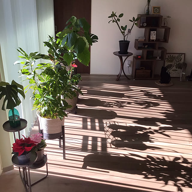 houenさんの部屋