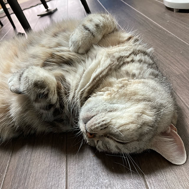 cherryさんの実例写真