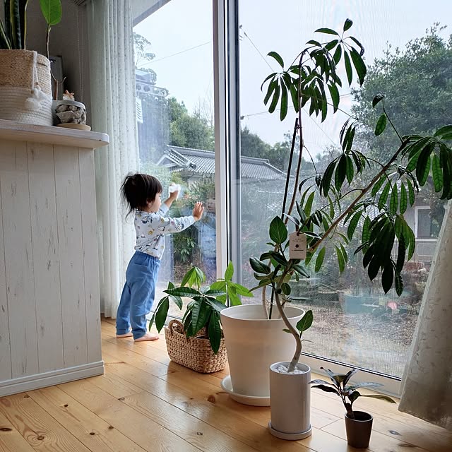 ri-eさんの実例写真
