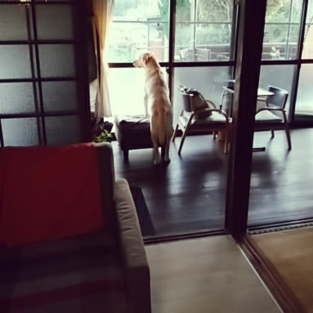 montomoさんの実例写真