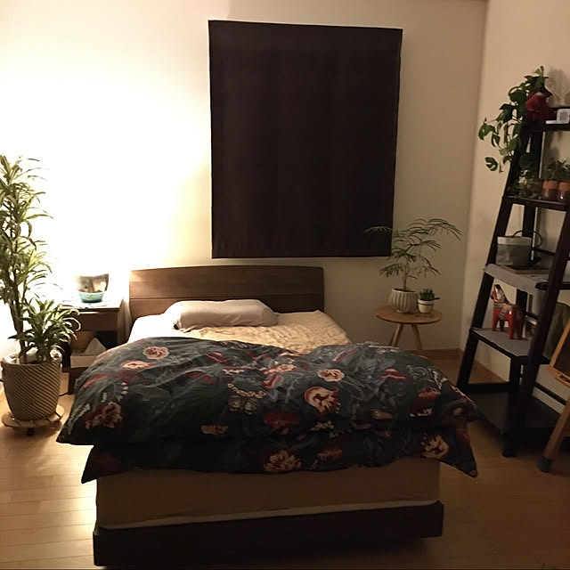 tomoさんの実例写真