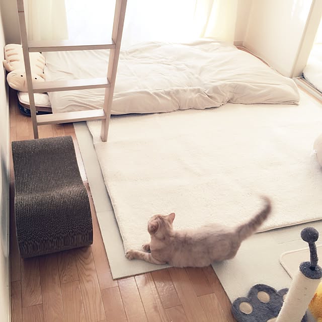 maさんの実例写真