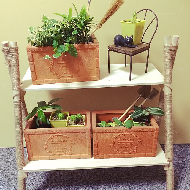 棚/DIY/100均/観葉植物/多肉植物のインテリア実例 - 2015-05-08 21:39:45