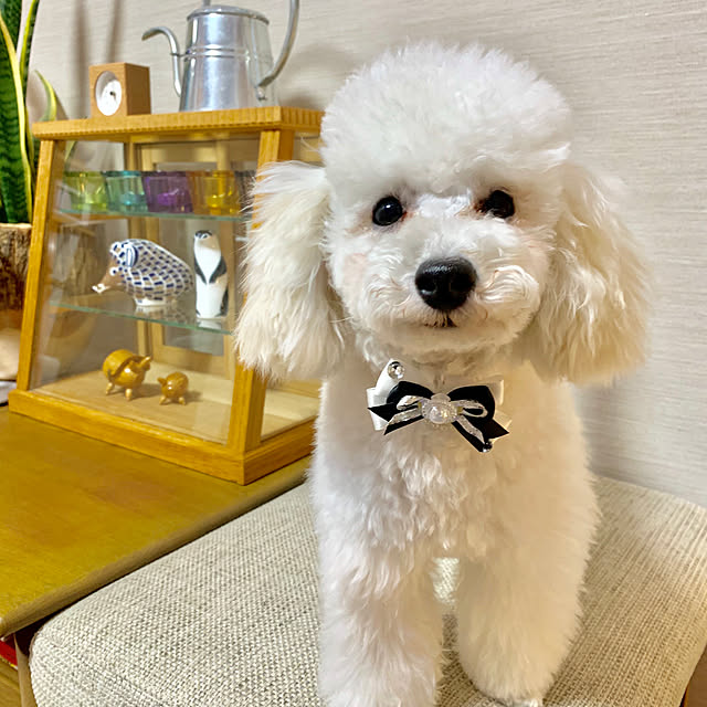 BUNさんの実例写真