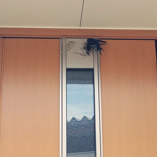siroopさんの実例写真