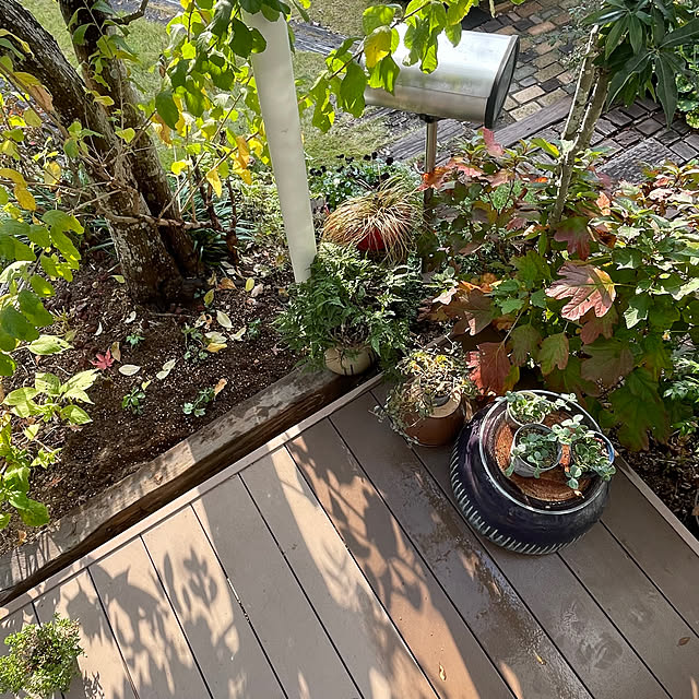 nobikoさんの部屋