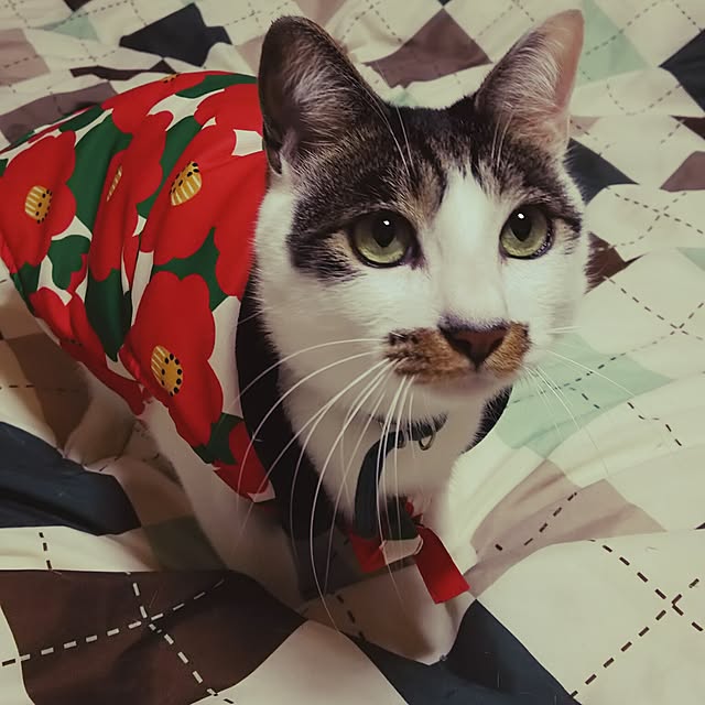 tenさんの実例写真