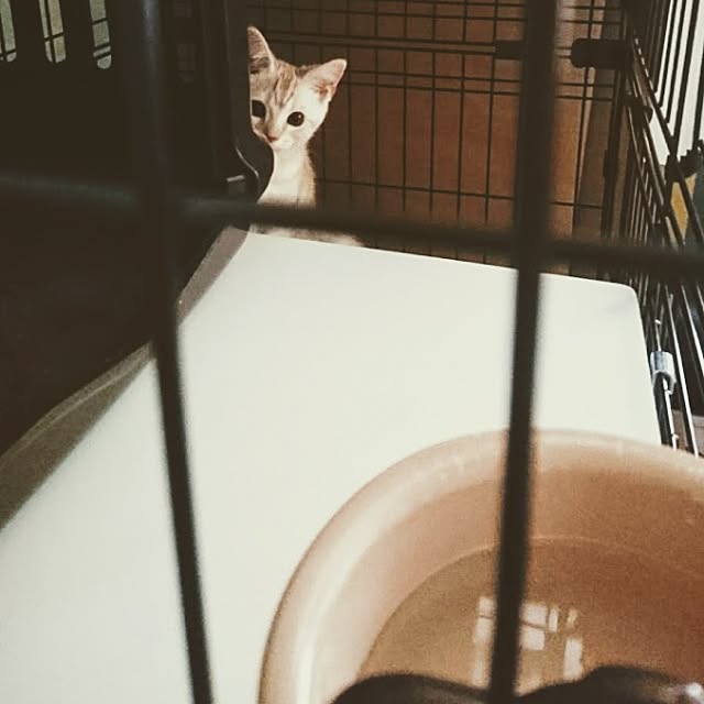 malmさんの実例写真
