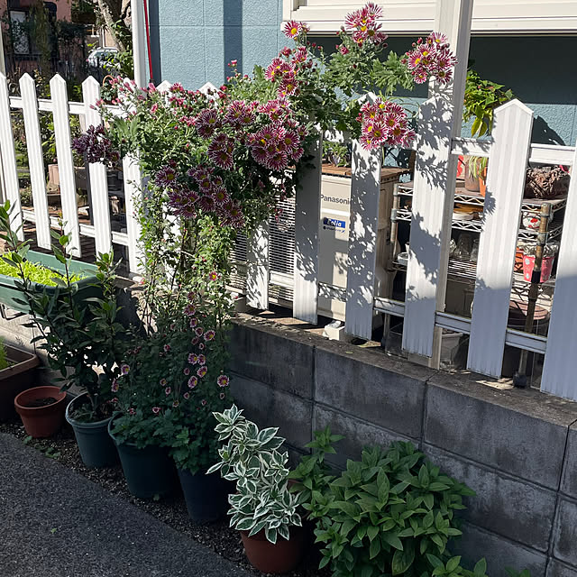nobikoさんの部屋