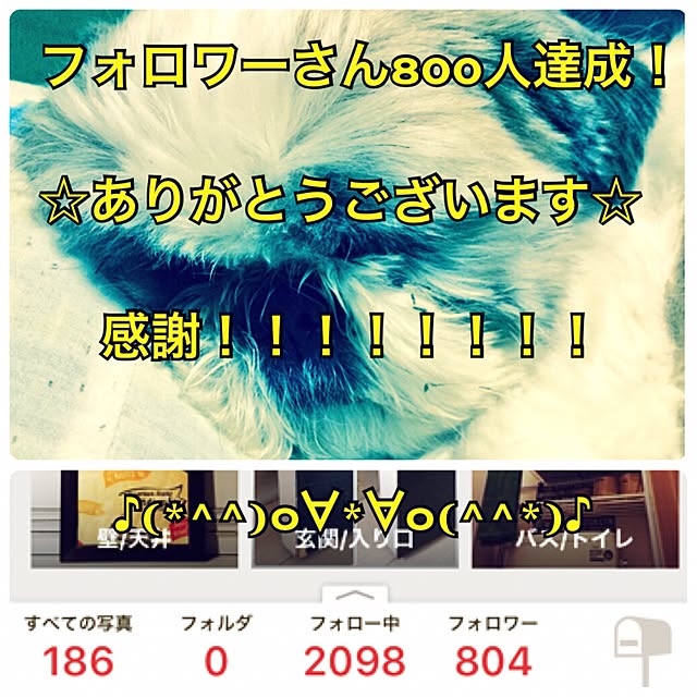 lenkaさんの実例写真