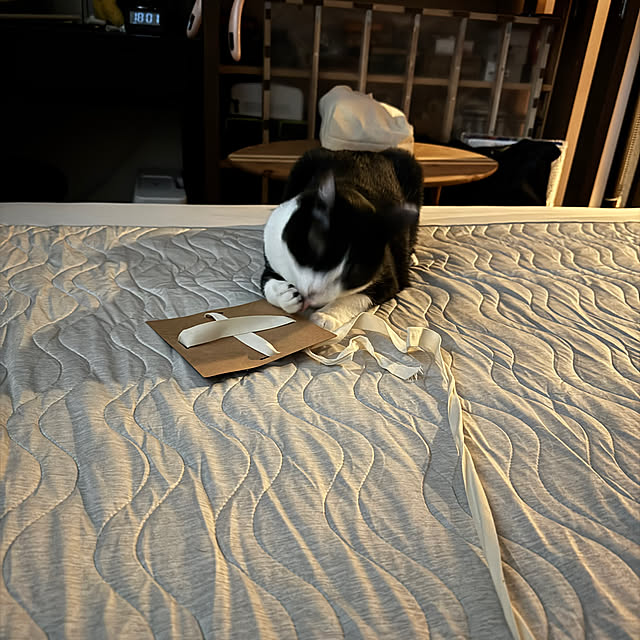 porinさんの部屋
