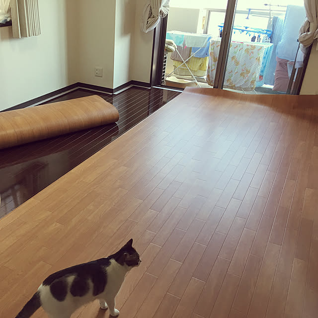 aiiaさんの実例写真