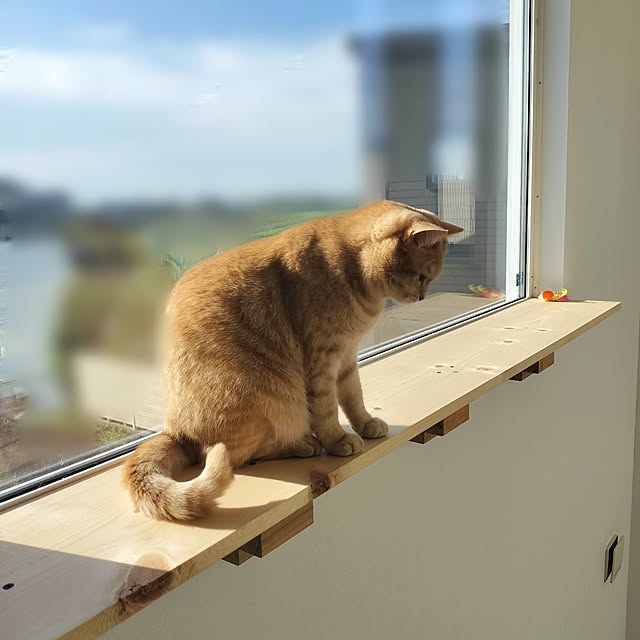 ayumiさんの部屋