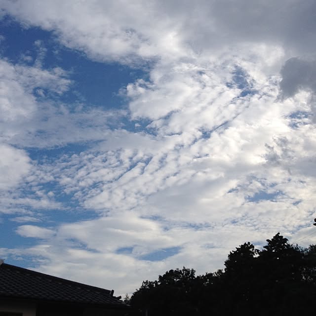 omoideinmy45さんの実例写真